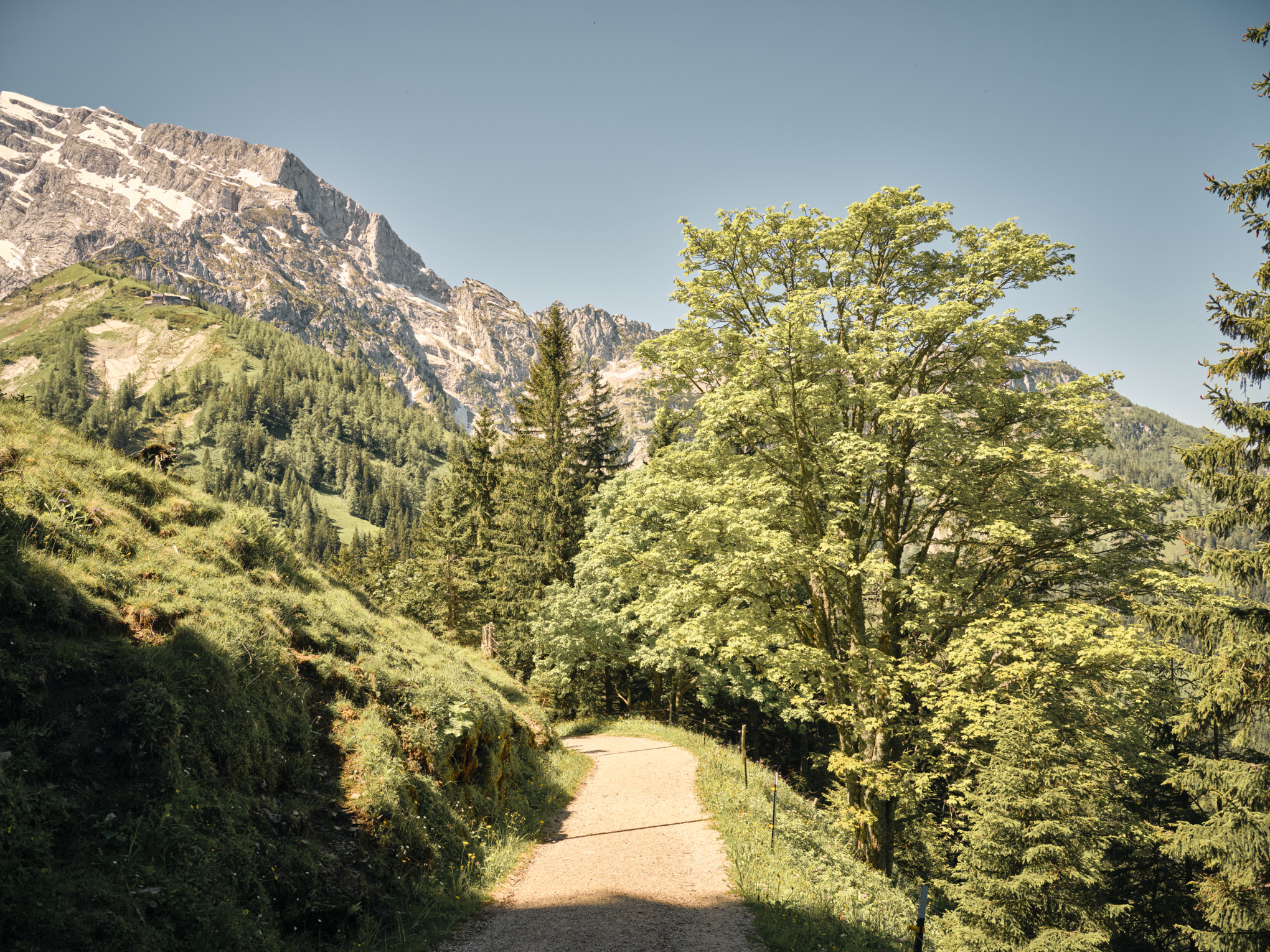 nature